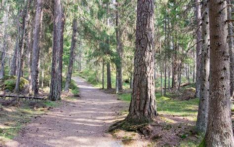 Gårdsjön vandring